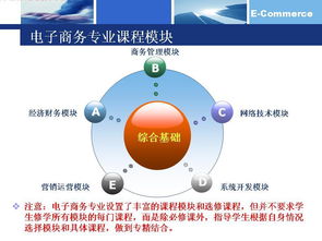 电子商务考研专业