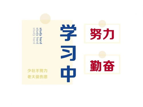 32岁妈妈辞职考研5个月上岸清华，勇敢追梦，无畏挑战