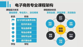 大学电子商务类专业