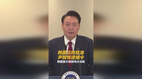 尹锡悦逮捕令再度获韩国法院批准