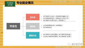 电子商务专业白话解释