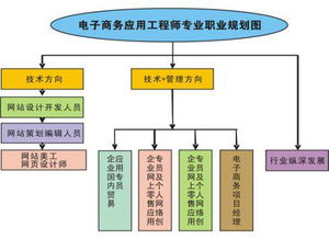 学电子商务专业定位