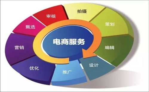 电子商务专业具备技能