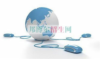 电子商务专业具体描述