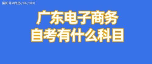 电子商务专业考研怎么考